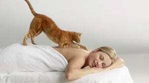 Котка се лапи