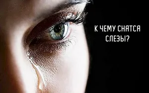 Събудих се в сълзи пред нищо Събудих се в сълзи пред нищо