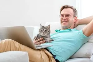 Котка се лапи