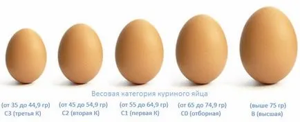 От пилета бързат