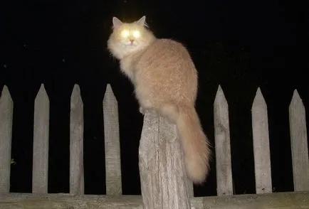 Когато очите му блясък