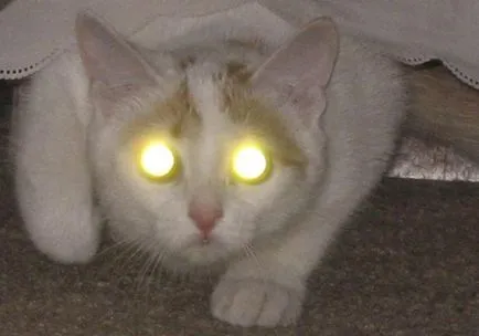 Когато очите му блясък