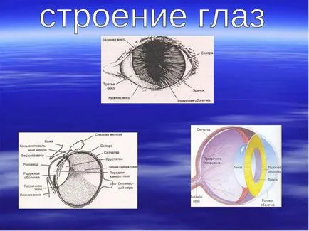 Когато очите му блясък