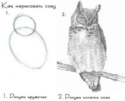 Как да пропуснете обучение