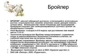Бройлерите се размножават