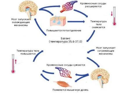 лечение ниска телесна температура