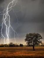 Какво лети в къща врабче