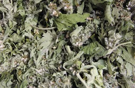 Как да се даде на детето си motherwort