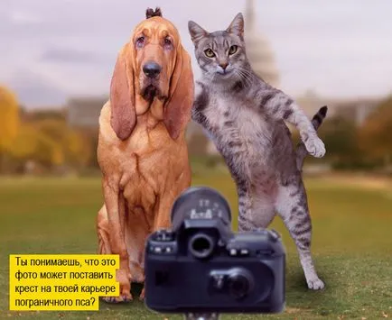 ядосан котка