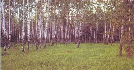Какво влияе на разположението на растителността