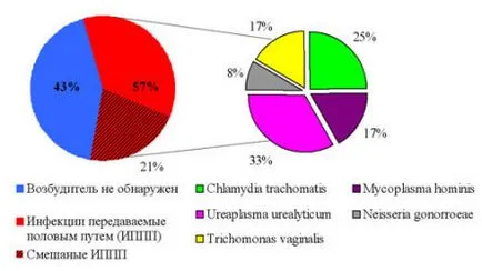 защо цистит