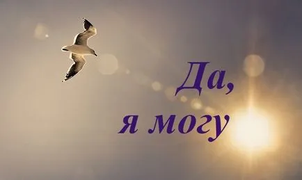 Каква е ръководство за действие