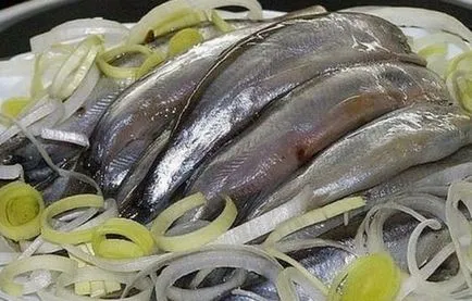 Колко полезна мойва Колко полезна мойва