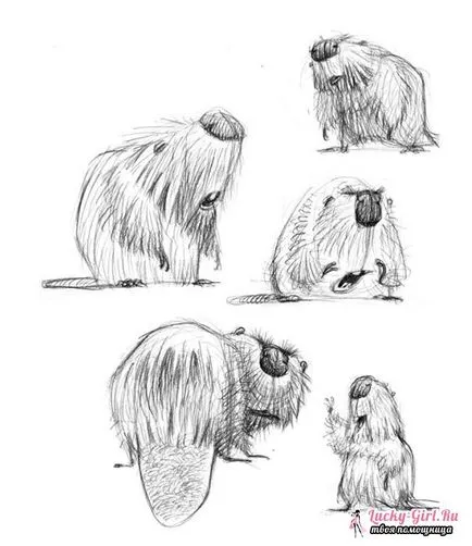 Рисуване с молив котка Рисуване с молив котка