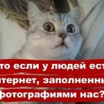Котки с котки надписи