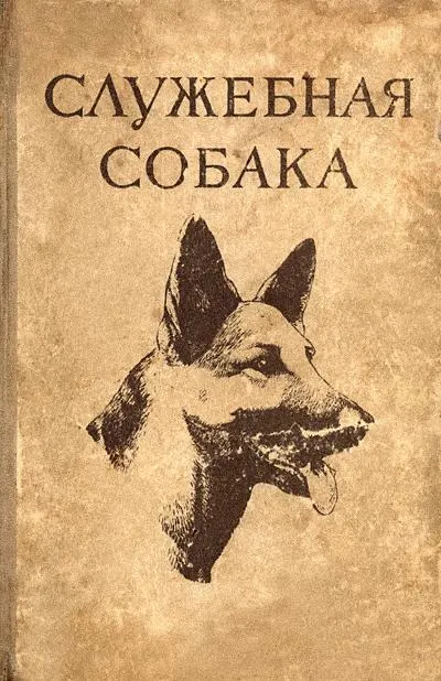 Съдържание на служебни кучета Съдържание на служебни кучета