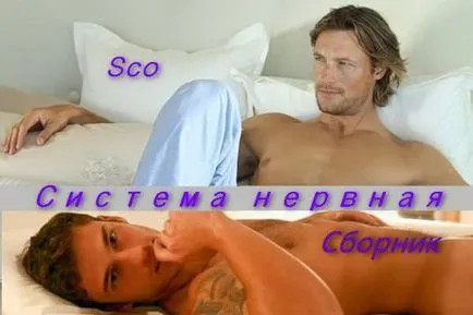 Какво е наклонена черта Yaoi