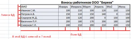Какво е база данни в Excel