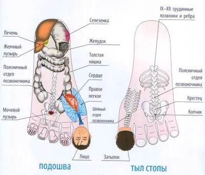 Sudzhok терапия у дома