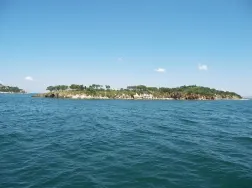 Турският го нощ