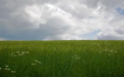 Разсъждавайки като вид на словото