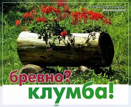 Занаяти с ръцете си от лог