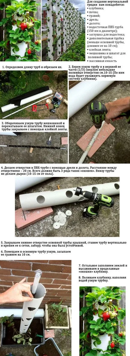 Как да се грижим за пролетни ягоди