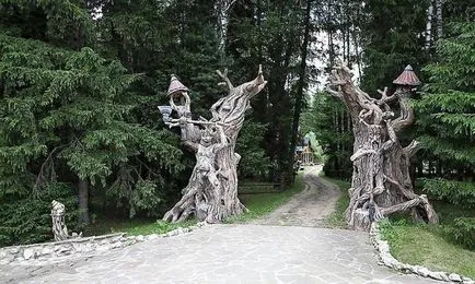 Какво е царството на Berendeevo