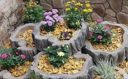 саксия