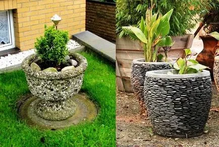 саксия