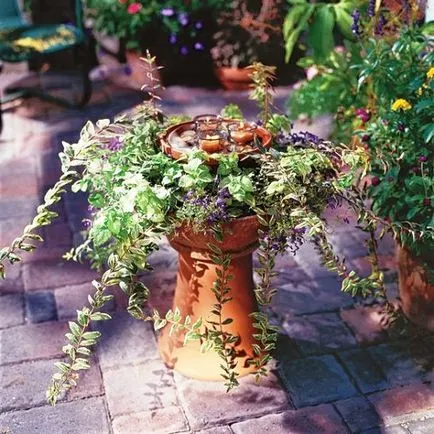 саксия