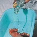 Както китайците ядат ембриони