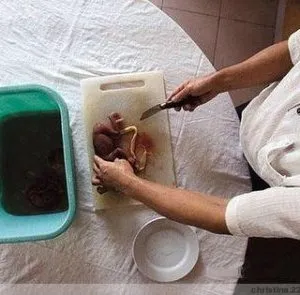 Както китайците ядат ембриони