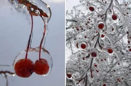 Какво е студена красота