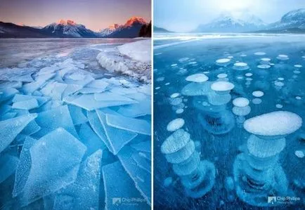 Какво е студена красота