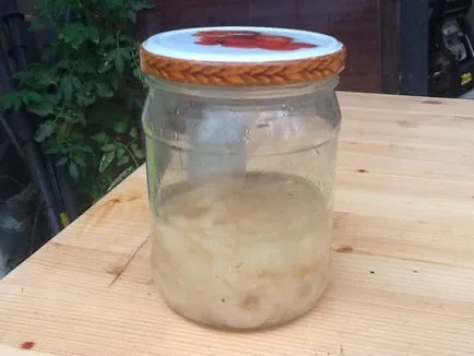 Какво е guncotton