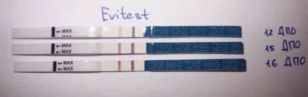 Тест за бременност да се използва evitest