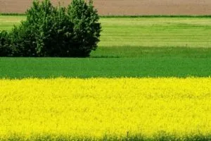 Земеделска земя за строителство на къща