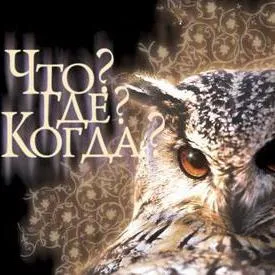 13 Сектор какво къде кога - реална възможност да зададете въпрос на експерти