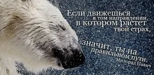 Афоризми с чувство за това какво е необходимо