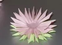 астри хартия