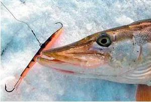 Балансмашини за описание щука и отзиви (коментари) Балансмашини за описание щука и коментари