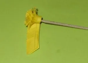 астри хартия