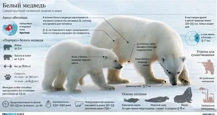 Новая земля