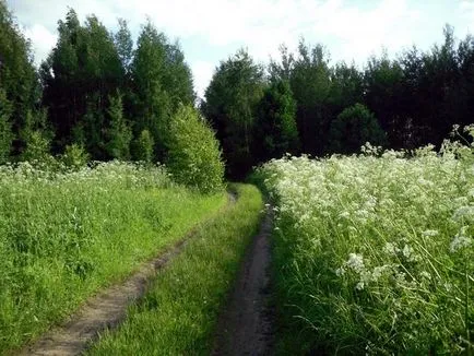 И ние отидохме да ходя на екскурзия! (Парк) И ние отидохме да ходя на екскурзия!