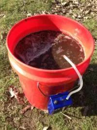 Vermicompost - какво е vermicompost за стайни растения