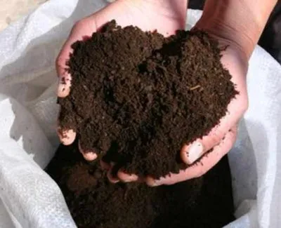 Vermicompost - това е, как и дали да го използвам