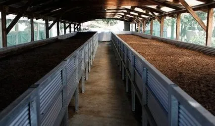 Vermicompost какво е, инструкции за употреба, как да се използват течни vermicompost за разсад,