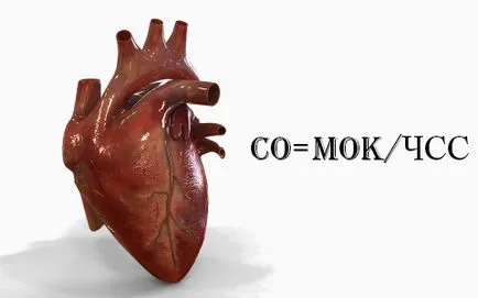Побой на сърдечната честота и производителността на вековете