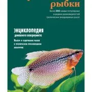 На емисия рибни фуражи заместници - начинаещи аквариум (риба, отколкото да се хранят) С какво да храним замества храна за риби - начинаещи акваристи